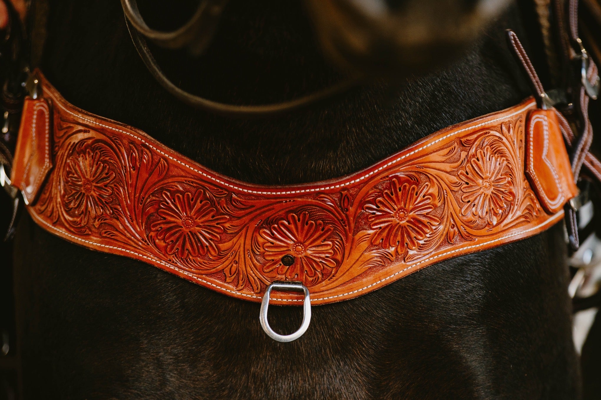 Hand Tooled Tripping Collar | 100K Equine Horse Gear CA & USA