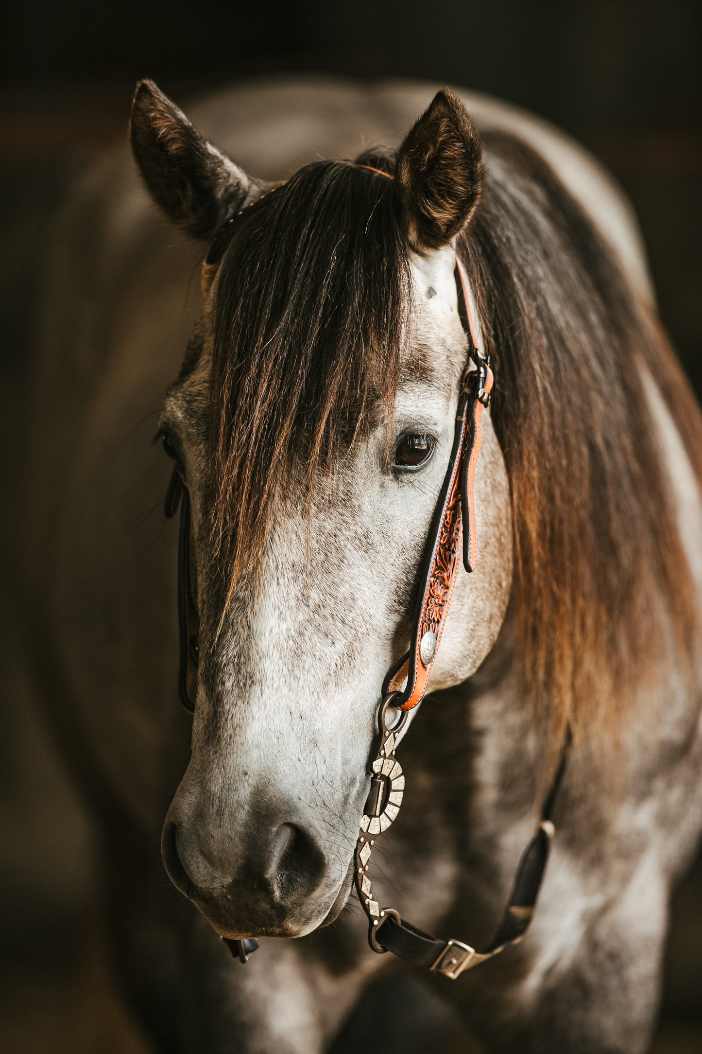 Headstalls