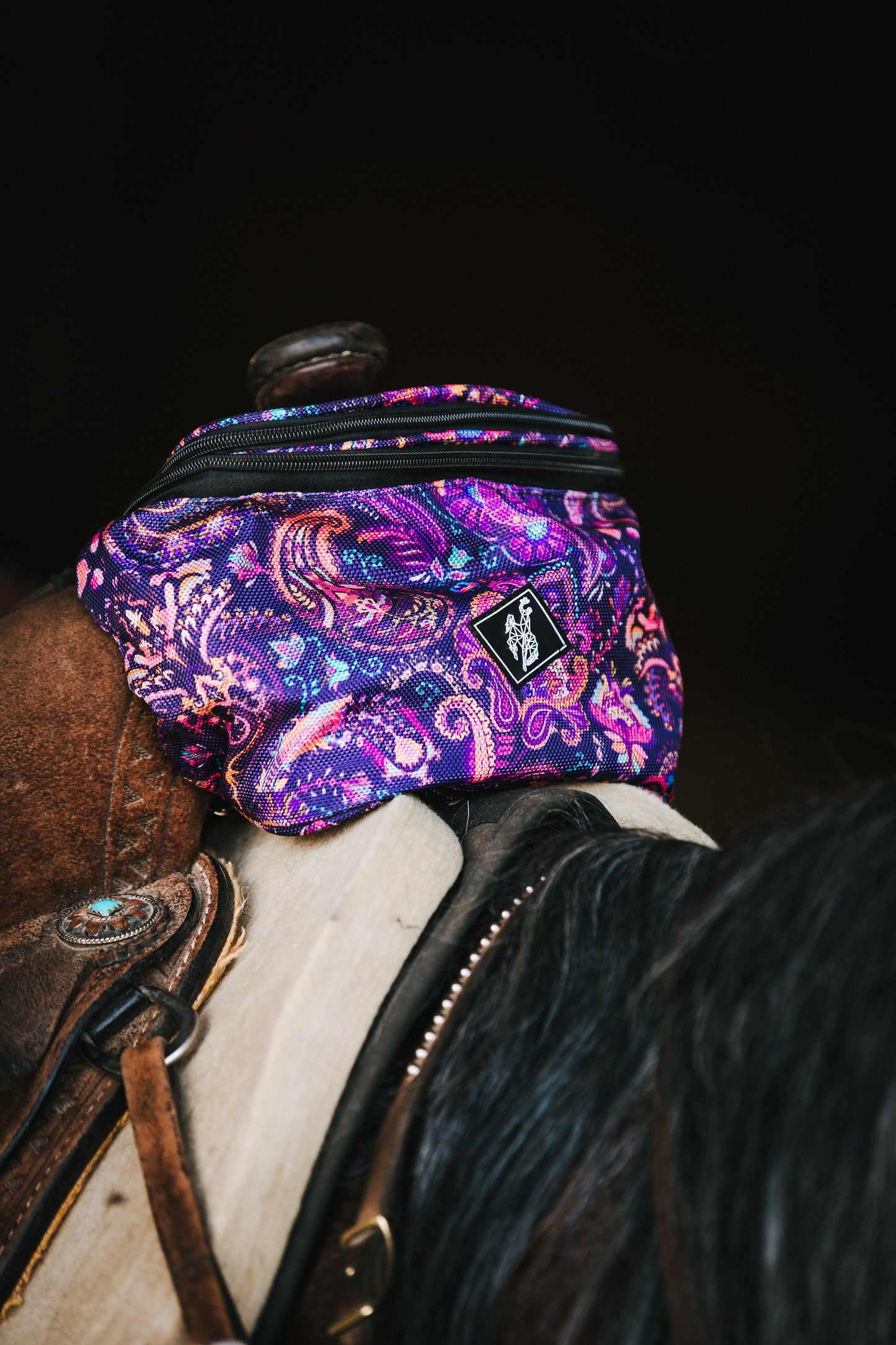 Saddle Packs