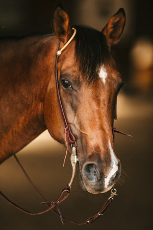 
                  
                    Reins - Roping Reins - Quick Snap
                  
                