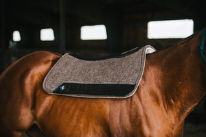 
                  
                    Saddle Pad - Flex Felt Pad
                  
                