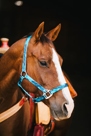 
                  
                    Nylon Halter
                  
                