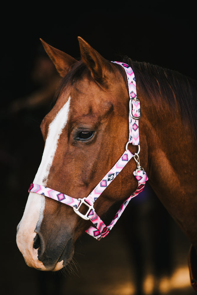 
                  
                    Nylon Halter
                  
                